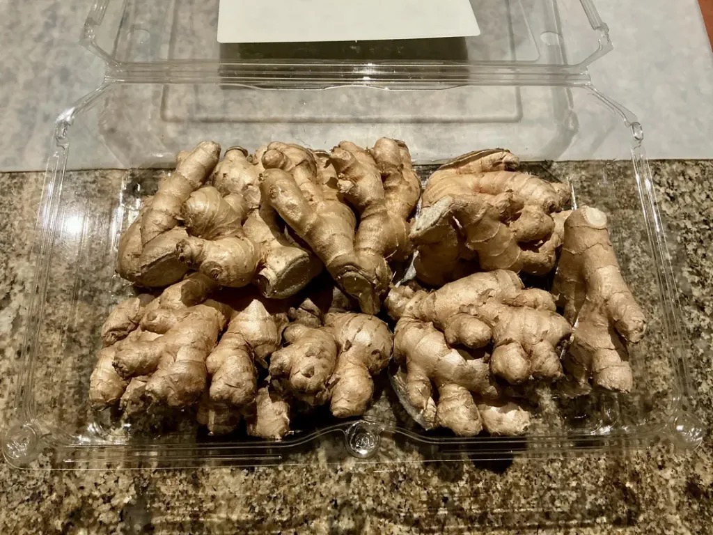 Rimpang jahe segar berkualitas sebagai simbol nutrisi dan bahan alami pendukung sirkulasi serta vitalitas pria